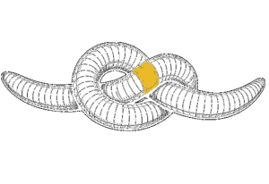 ICON Flexible